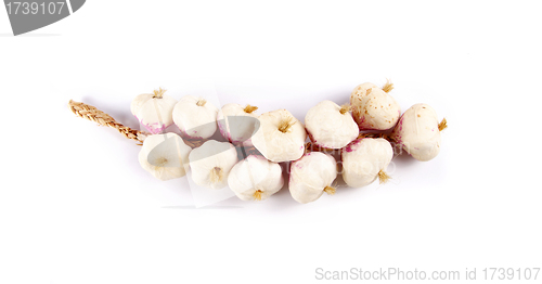 Image of Bunch of garlic isolated on white