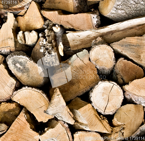 Image of Pile of wooden logs