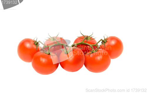 Image of Cherry tomatoes isolated on white