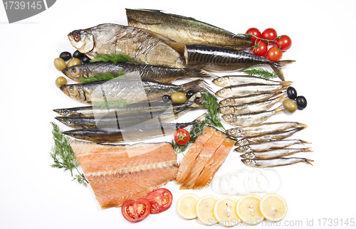 Image of great composition of different fish