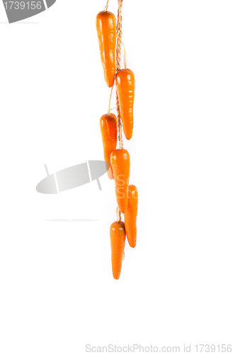 Image of plastic carrots on white