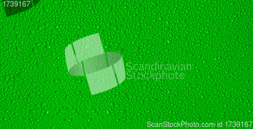 Image of drops of water on a green background
