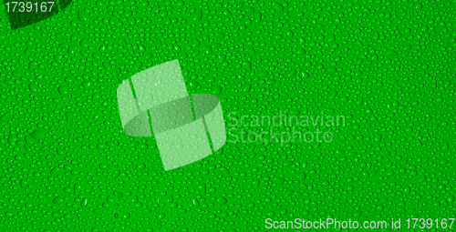 Image of drops of water on a green background