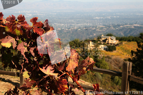 Image of Autumn winery