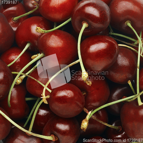 Image of Cherries