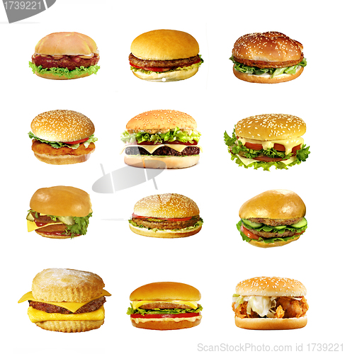 Image of Hamburgers and cheeseburgers