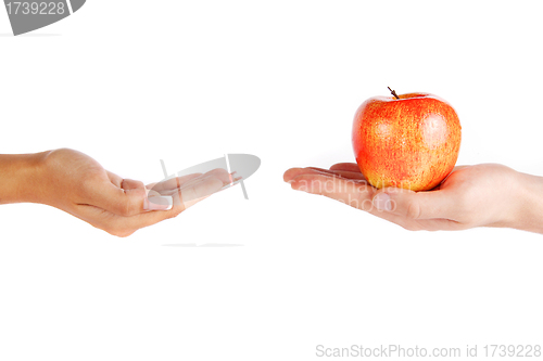 Image of Mans hand is giving an apple to the women hand