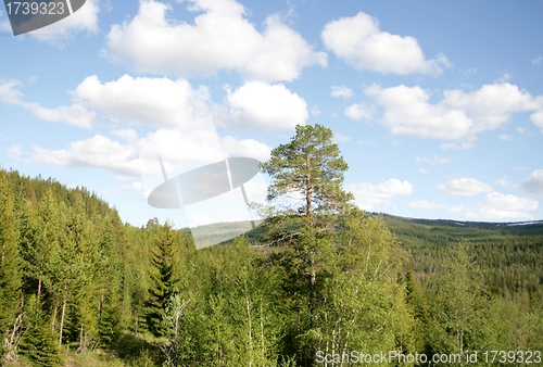 Image of Norwegian landscape