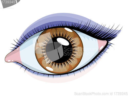 Image of Brown eyes with makeup on a white background