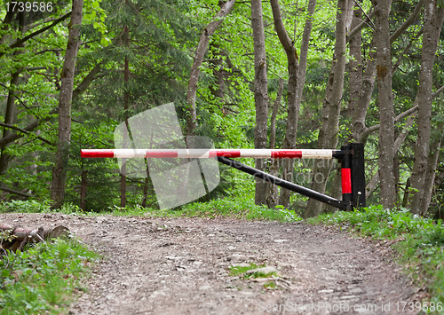 Image of Barrier, blocking the road into the woods