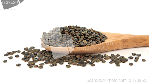 Image of Puy Lentils