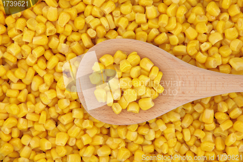 Image of Sweet Corn