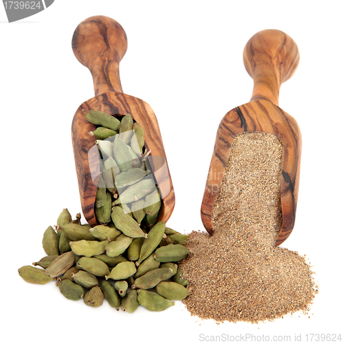 Image of Cardamom  Spice