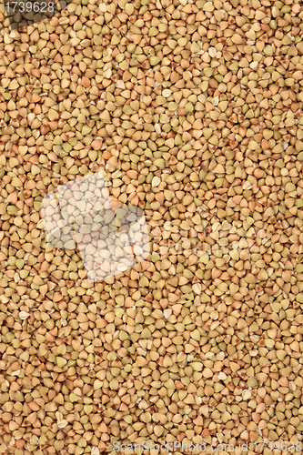 Image of Buckwheat