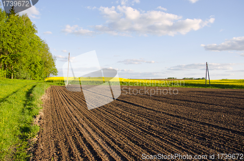 Image of Plowed rapeseed rural agricultural fields blue sky 