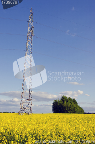 Image of electric pole background agricultural rape fields 