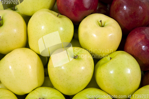 Image of Fresh fruit.