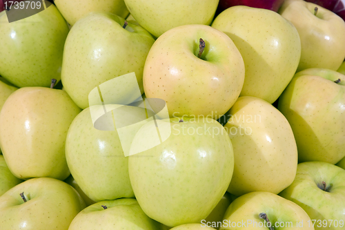 Image of Fresh fruit.