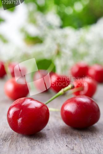 Image of fresh red cherries