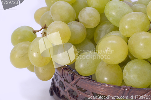 Image of Green grapes in basket.