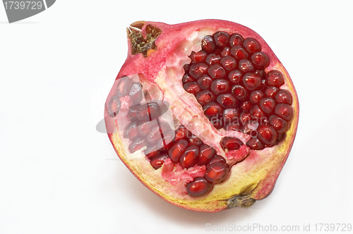 Image of Pomegranate.