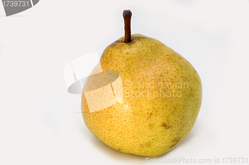 Image of Pear