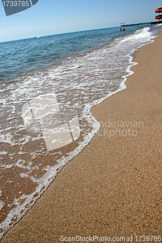 Image of Sandy coast of lake.