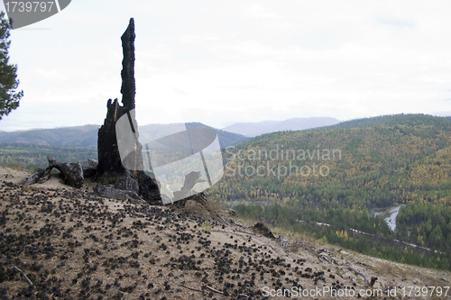 Image of Stump on a background of mountains