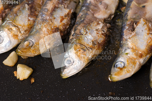 Image of Roast sardines