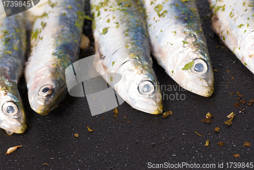 Image of Fish on the griddle