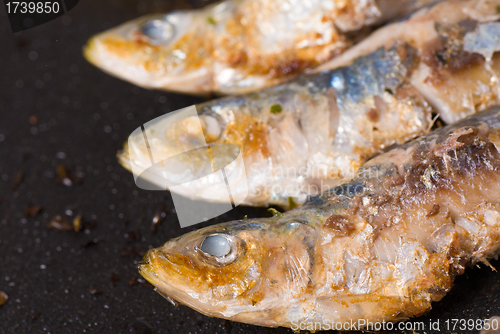 Image of Sardines on the griddle