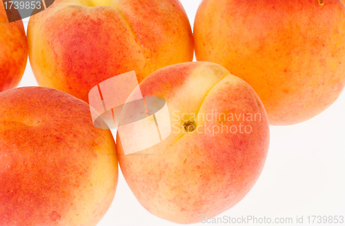 Image of Ripe apricots