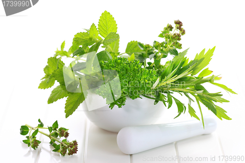 Image of Herbs