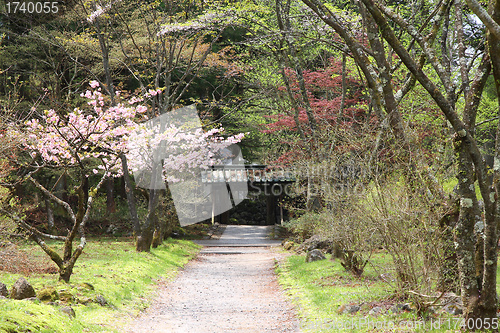Image of Nikko