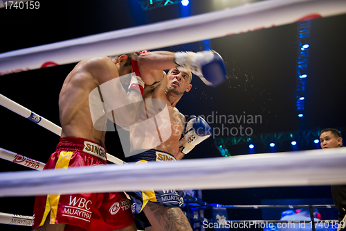 Image of Muay Thai Championship fight
