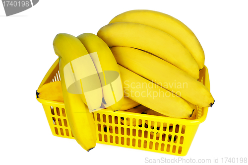 Image of Bananas in the basket