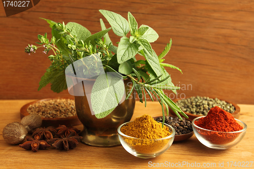 Image of Herbs and spices