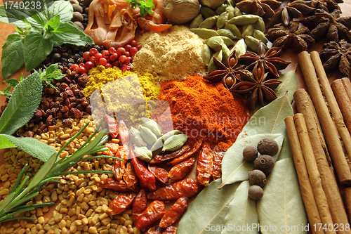 Image of Spices and herbs