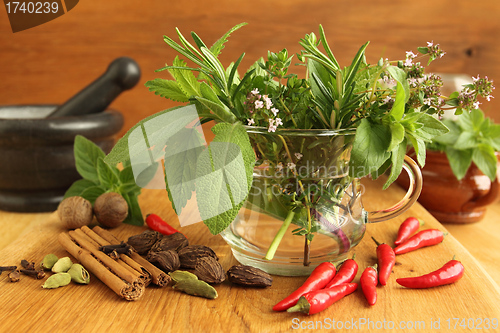 Image of Herbs and spices.