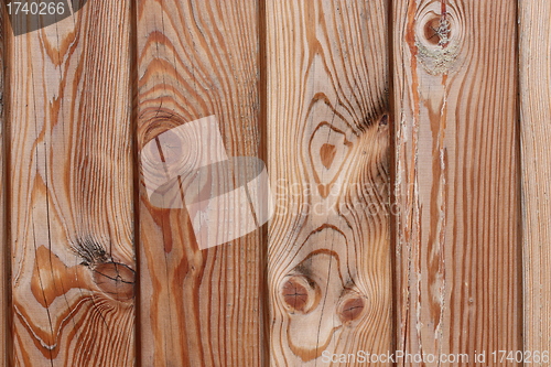 Image of Pine wooden