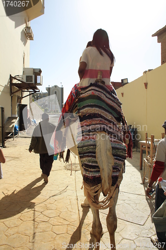 Image of camel-means of transportation in Africa