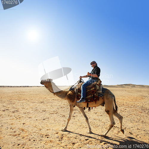 Image of with the camel in the desert