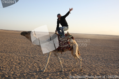 Image of pose on the camel