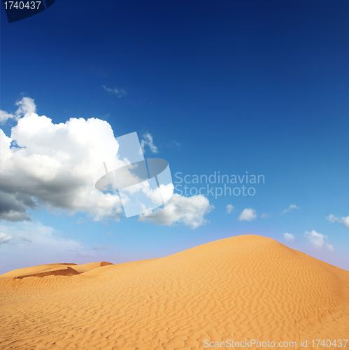 Image of Sand dunes in Sahara 