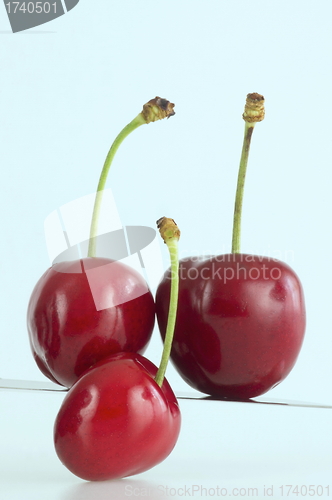 Image of Cherries