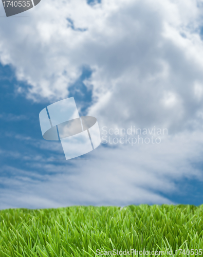 Image of Blue Sky and Green Grass