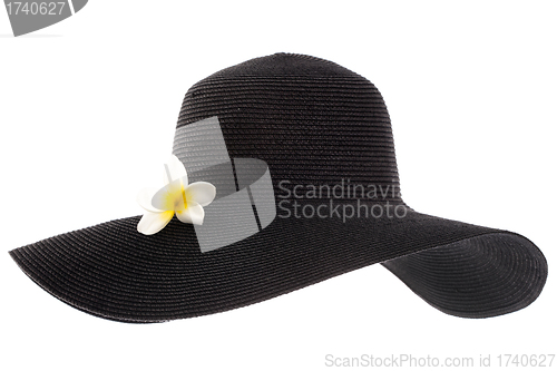 Image of black woman's hat with flower isolated on white background