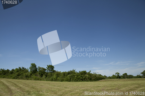 Image of beautiful summer day with blue sky outdoor 