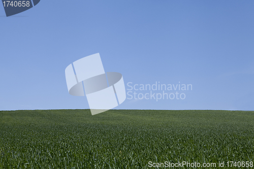 Image of beautiful summer day with blue sky outdoor 