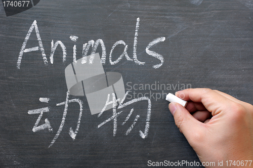 Image of Animals - word written on a smudged blackboard